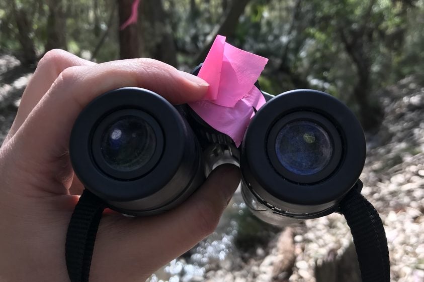 Hand holding binoculars with a pink ribbon