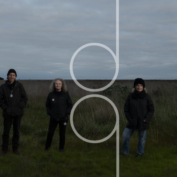 Three people standing in a grassy landscape