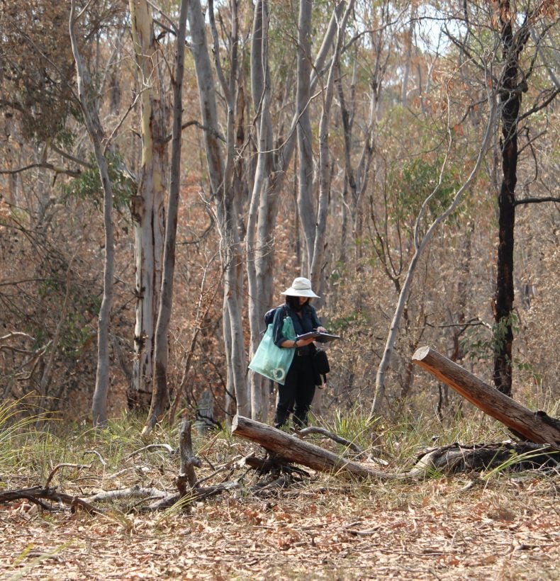 Person in a dense bush landscape, holding a board and green bag