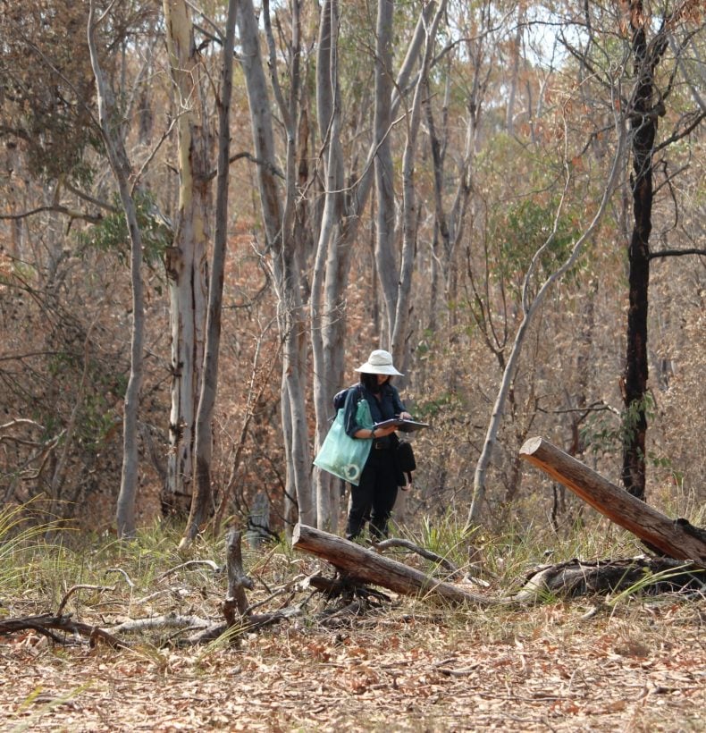 Person in a dense bush landscape, holding a board and green bag