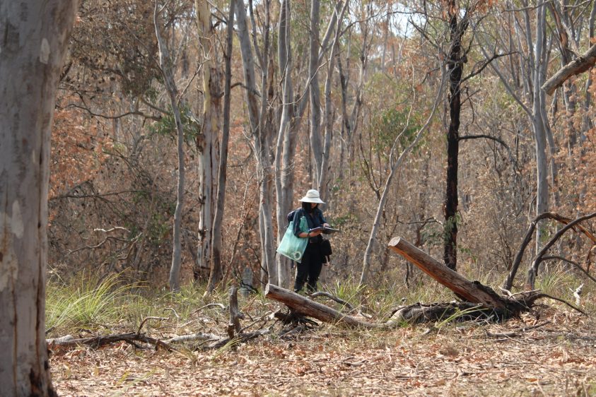 SITEWORKS WEEKEND 3 | Saturday 28 & Sunday 29 January 2023