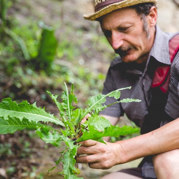 Person kneeling and holding a weed
