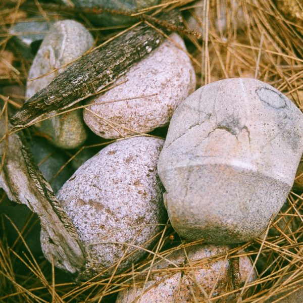 Rocks, grasses and wood pieces