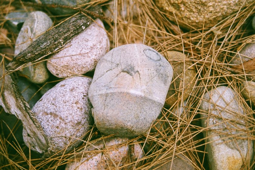 Rocks, grasses and wood pieces