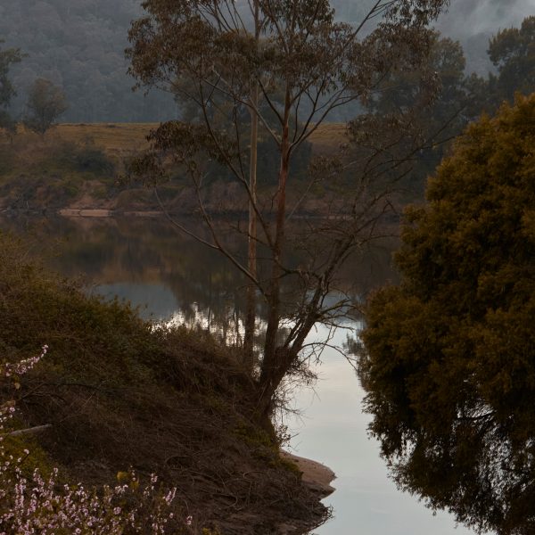 A river landscape lined with trees and a cloud-covered mountain range in the background