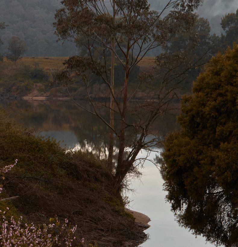 A river landscape lined with trees and a cloud-covered mountain range in the background