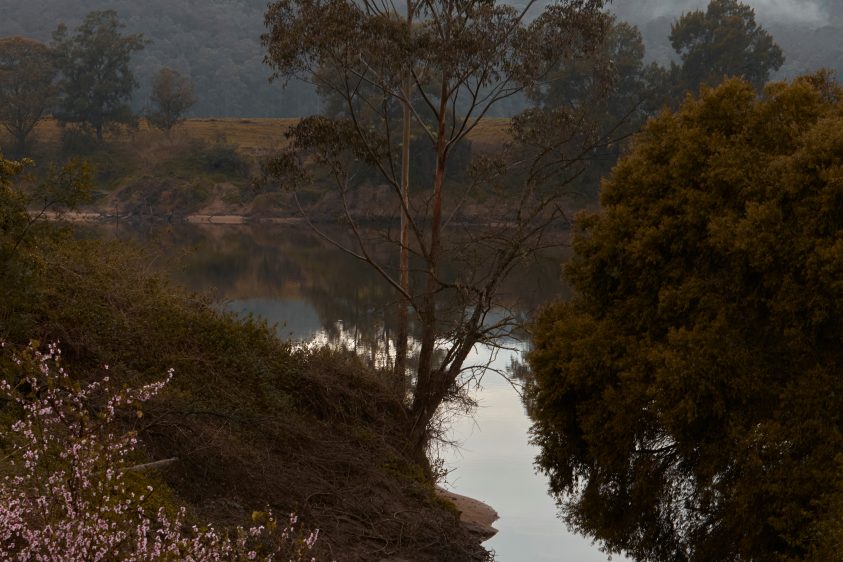 A river landscape lined with trees and a cloud-covered mountain range in the background