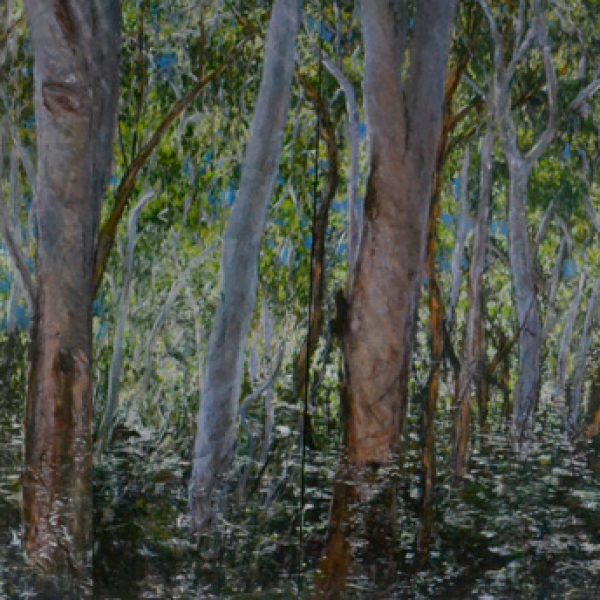 Paul Smith 'Forest'. Photo: Tracy Smith