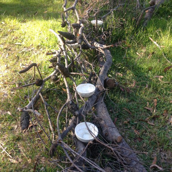 Tracy Smith 'Installation'. Photo: Tracy Smith