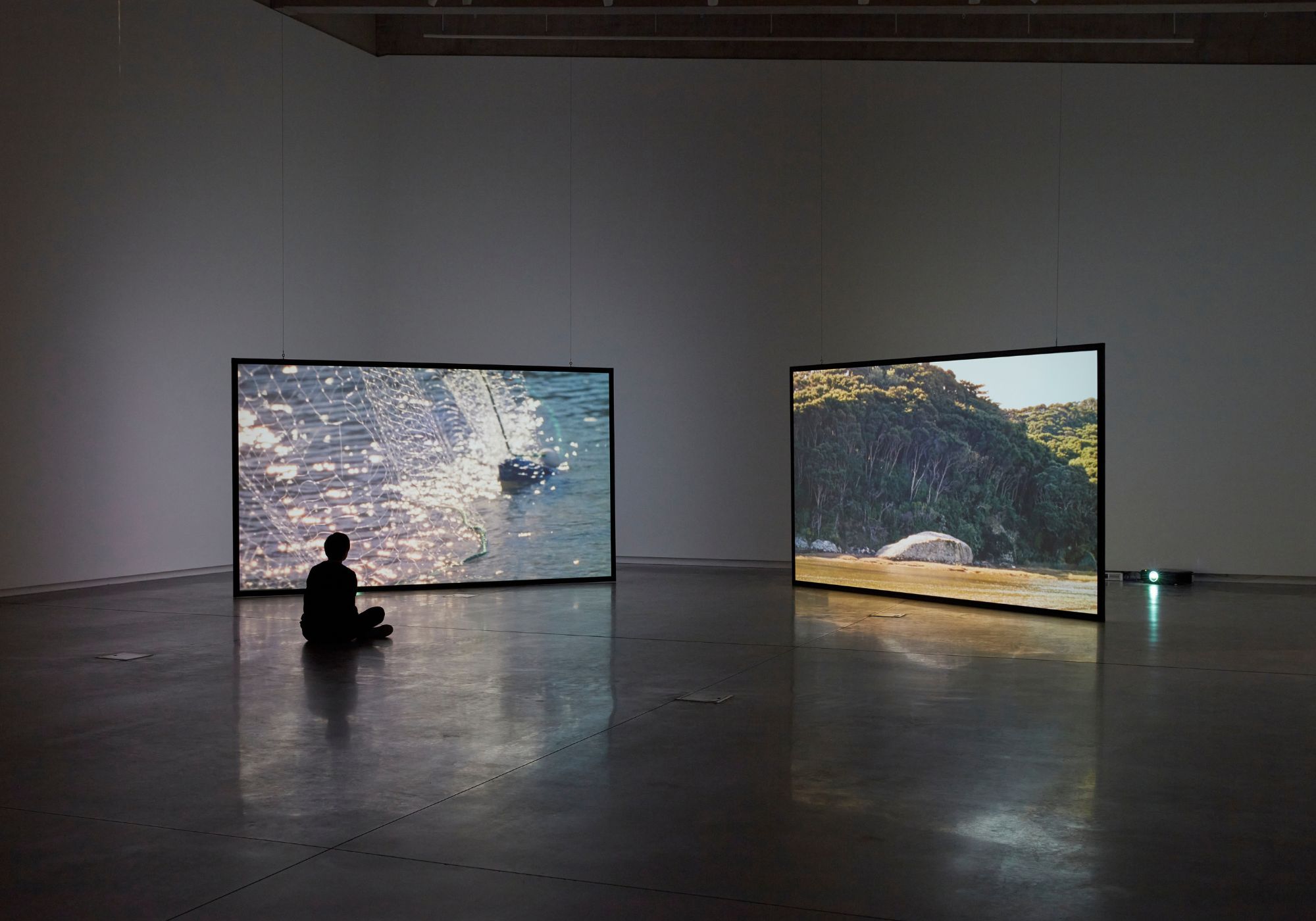 Nova Paul, Ngā Pūrākau Nō Ngā Rākau – Stories from the Trees, 2023, 16mm transfer to HD video (31 mins). Producer: Tara Riddell. Photo: Zan Wimberley.
