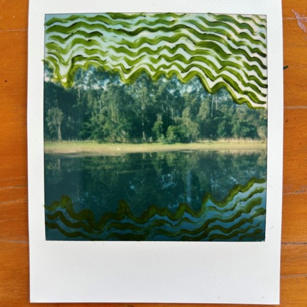 Looking for Patterns | Hayley Megan French