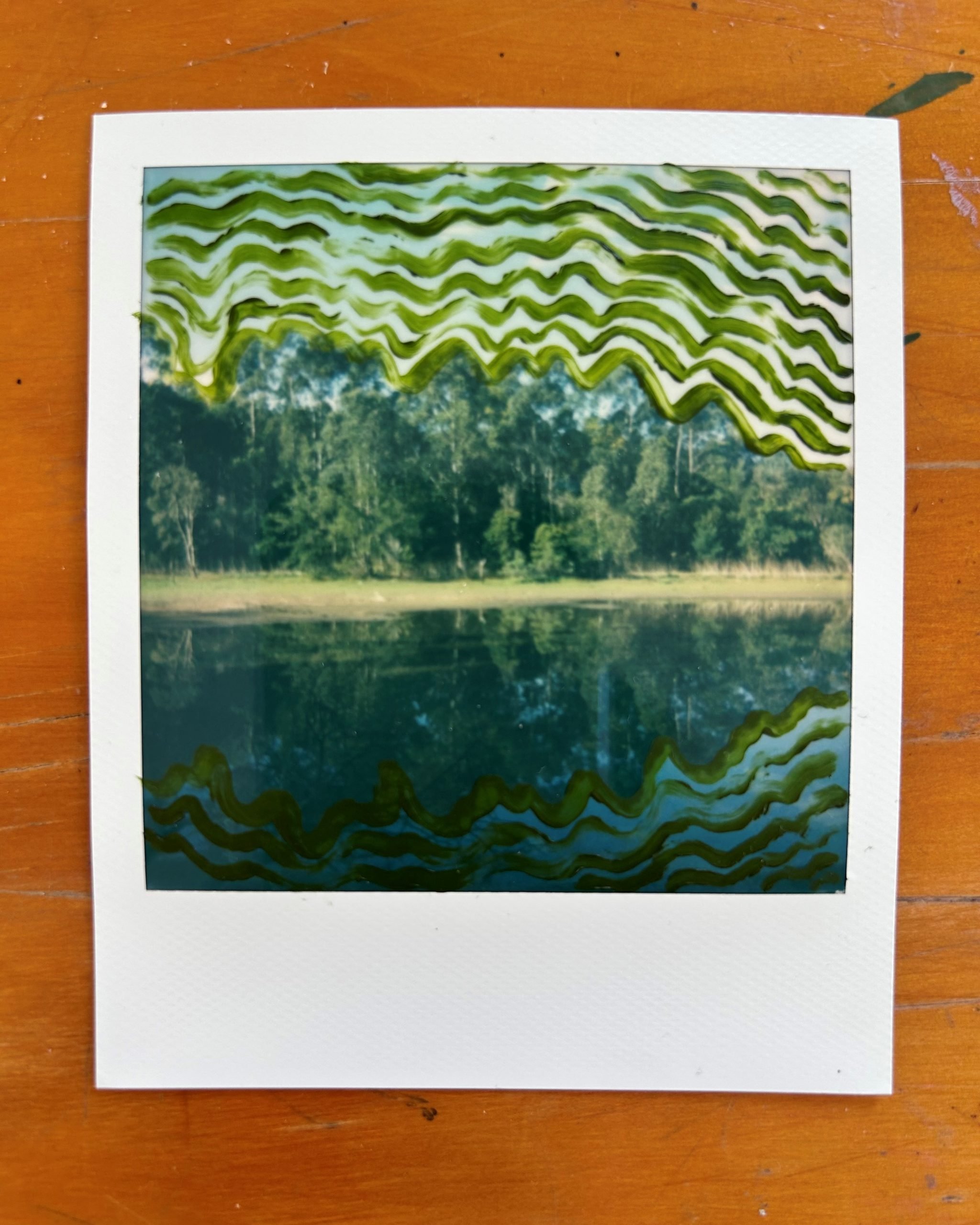 Looking for Patterns | Hayley Megan French