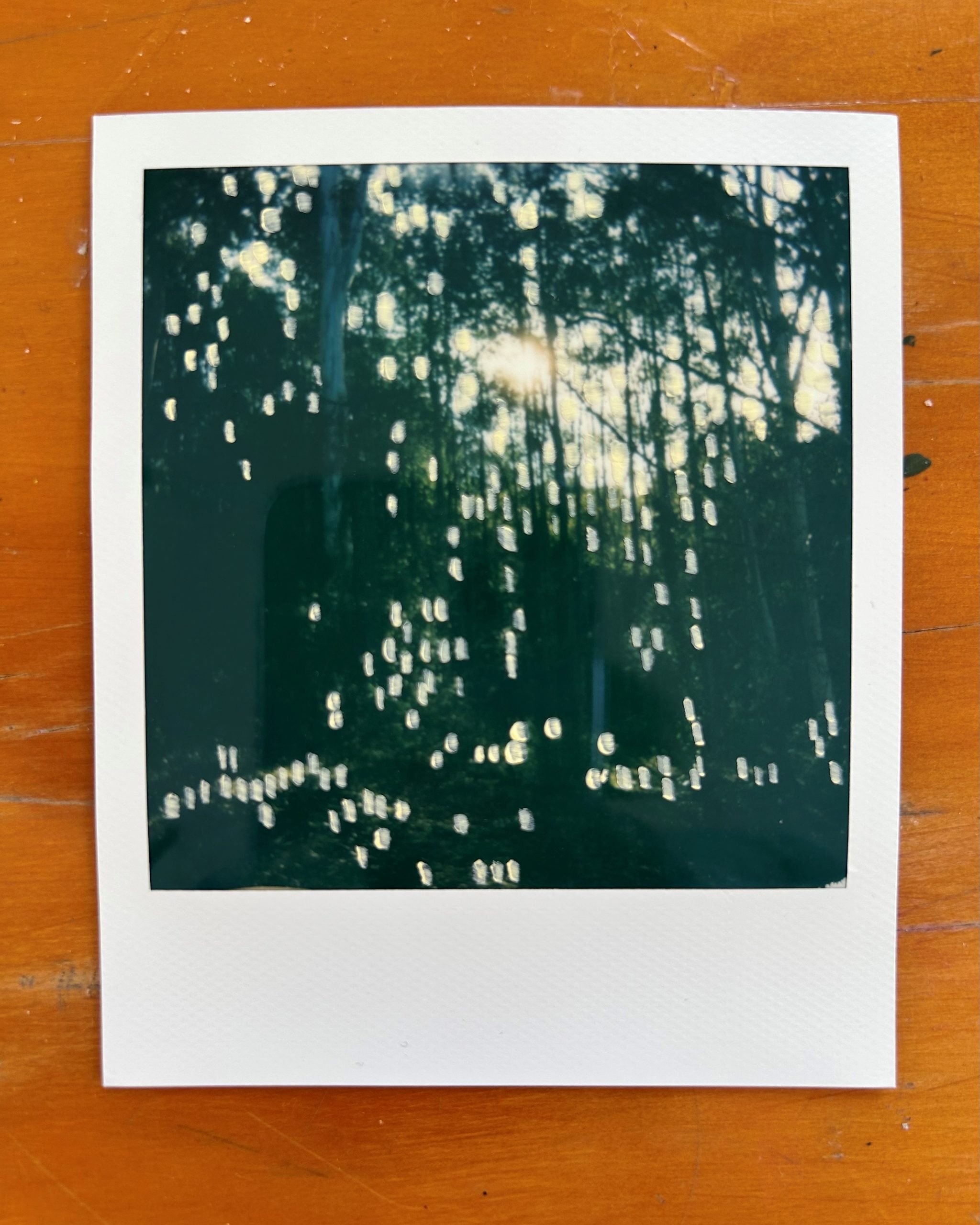 Looking for Patterns | Hayley Megan French