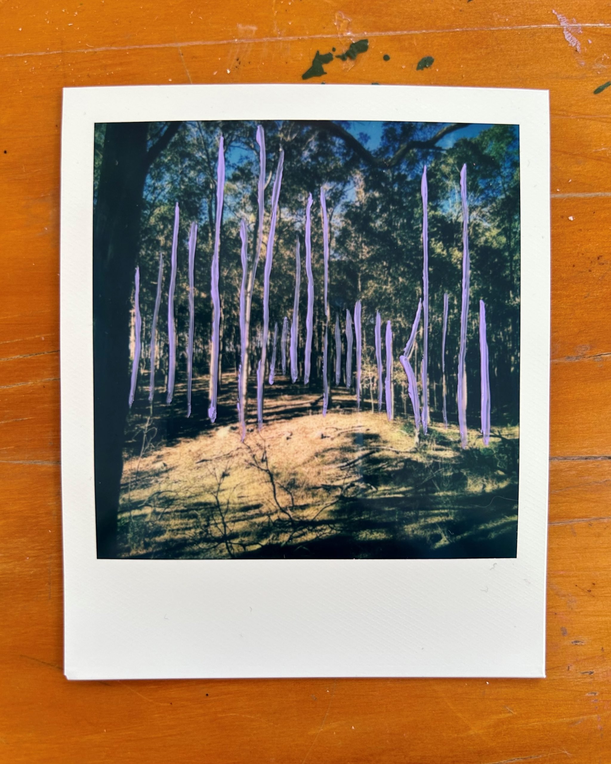 Looking for Patterns | Hayley Megan French