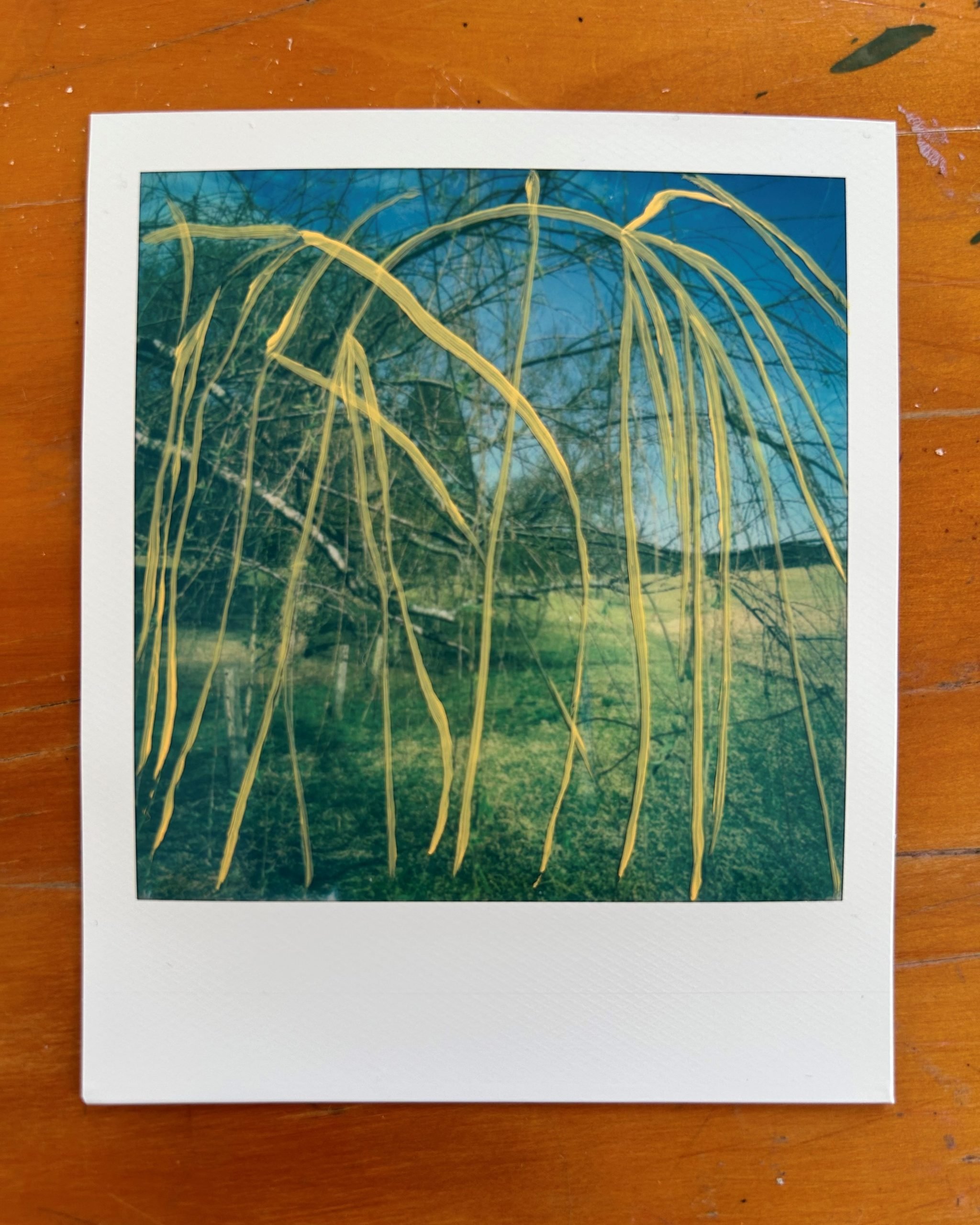 Looking for Patterns | Hayley Megan French