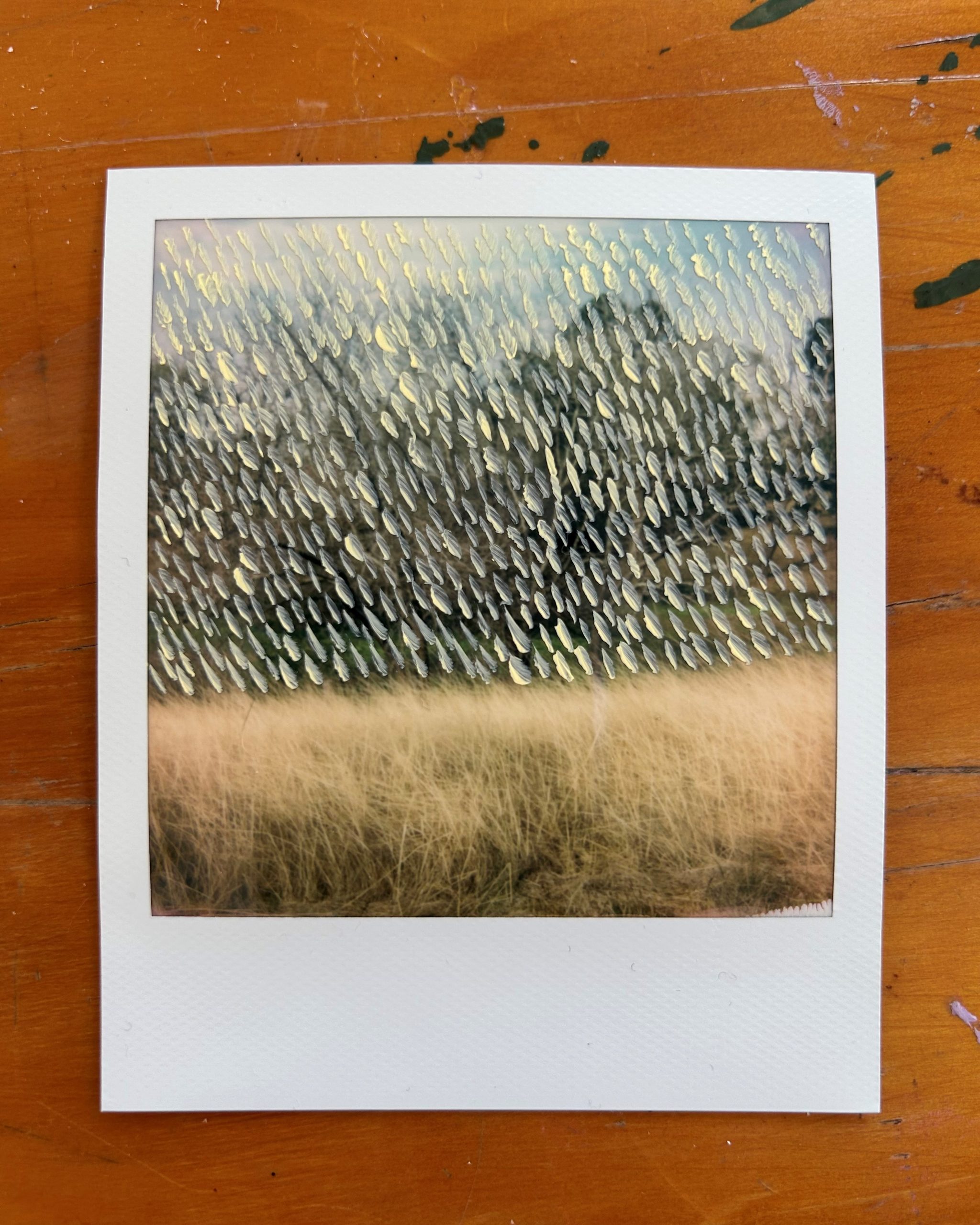 Looking for Patterns | Hayley Megan French