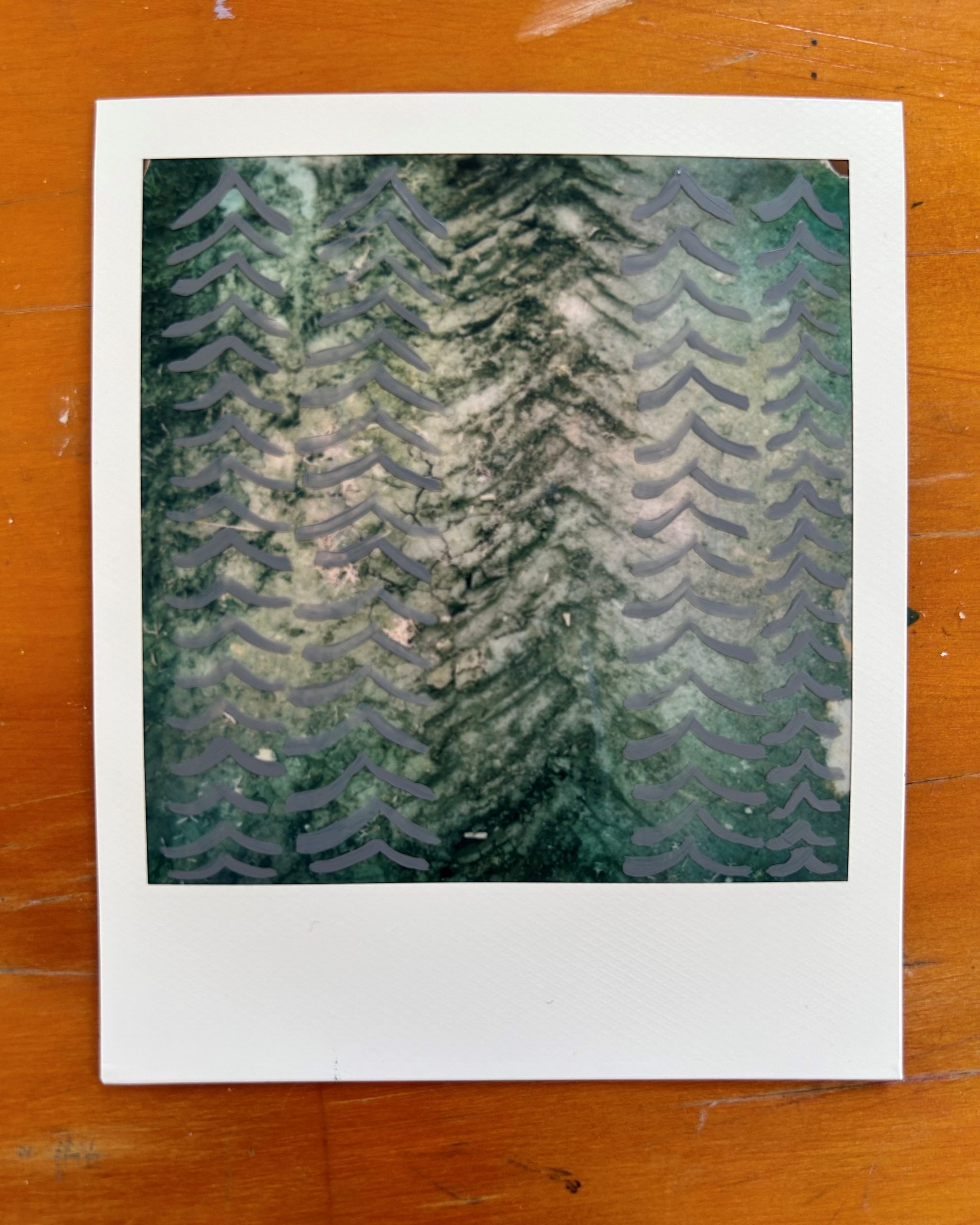 Looking for Patterns | Hayley Megan French