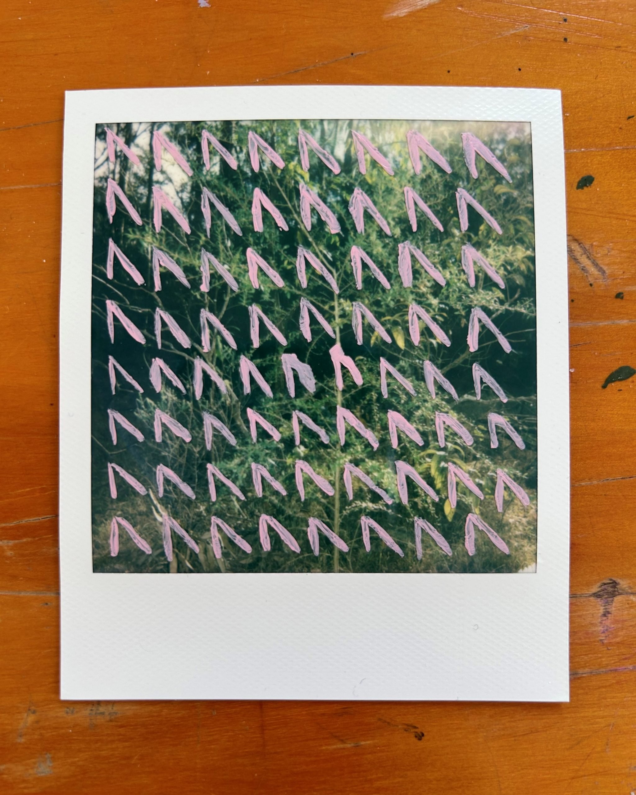 Looking for Patterns | Hayley Megan French