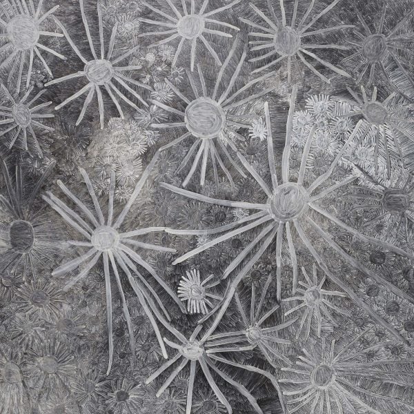 <b>Miwatj Yolŋu</b> Sunrise People