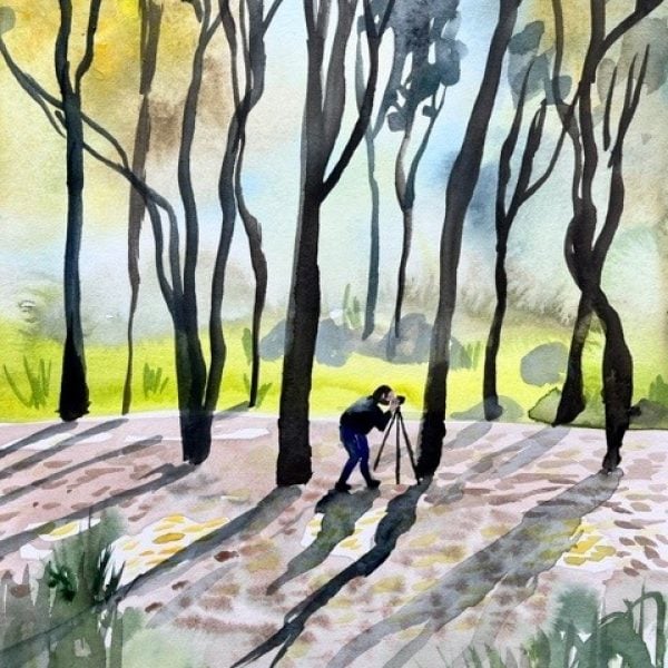 Collecting narratives | Tai Snaith