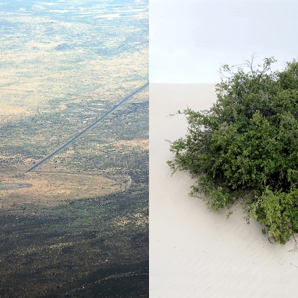 Trinity Equivalent [view of Trinity test site from North Oscura Peak, White Sands Missile Range, New Mexico | Sumac, White Sands National Park, New Mexico], 2020