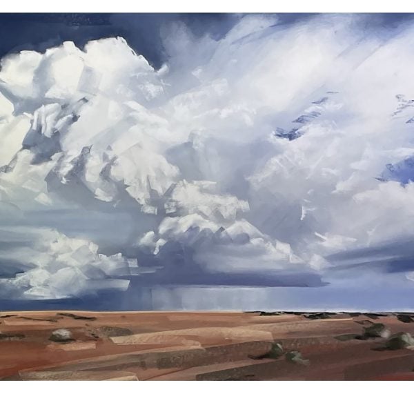Artist
Amy Dynan 'The weather builds in the silence' 100cm x150cm, pastel on paper