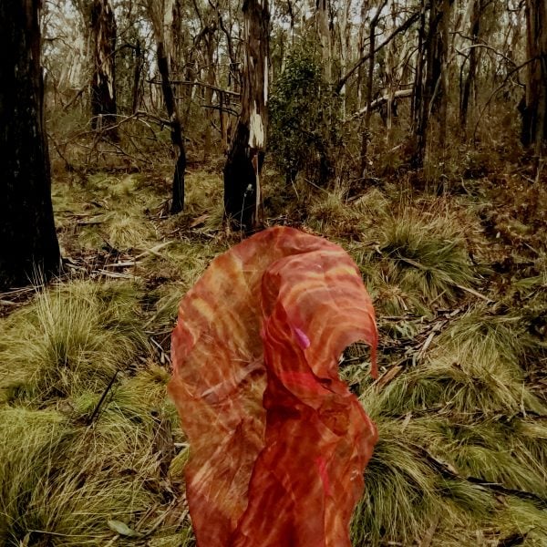 Still of an AR video taken on Mount Canobolas, Wiradjuri Country. Photo: Courtesy of the Artist.
