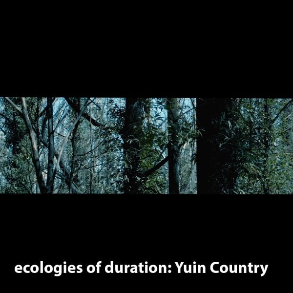 Screen capture from ‘ecologies (Yuin Country)’, Michele Barker + Anna Munster, multichannel installation, 2021 ongoing, courtesy the artists