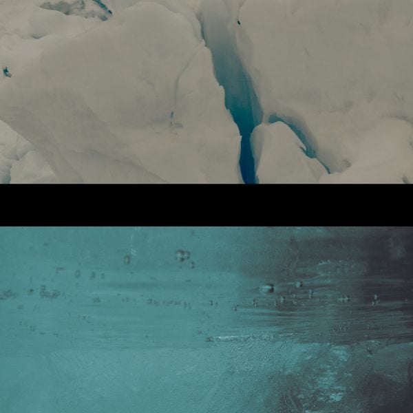 Screen capture from ‘ecologies (Arctic)’ multichannel installation, 2024 ongoing, courtesy the artists