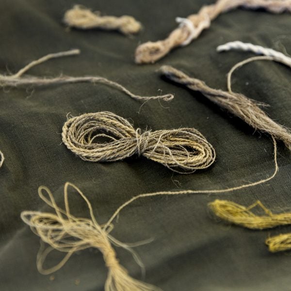 Anna Dunnill, 'Processing Plant' 2022, video with sound, moth vine, moth vine fibre. Videography by Jess Cockerill. 
Installation view, West Space Window. Photo: Janelle Low.