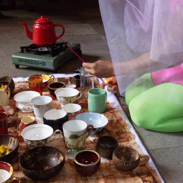 Chinese Garden of Friendship performance. Image: Emma Silwanis