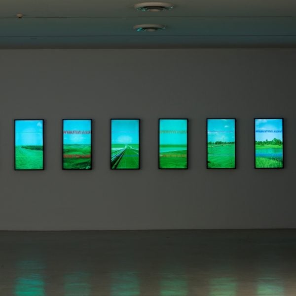 'Not so white - regained territories' 2016. Installation view, Campbelltown Arts Centre. Photo: Document Photography
