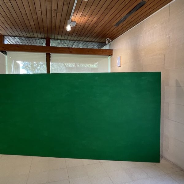  David Thomas Green Atmosphere; Beyond The Picture Plane, The Garden. Borrowed Landscape  2020-21. Installation with monochrome painting, Acrylic on canvas 65 x 330cm in Heide MOMA “Love poem to Life”2022