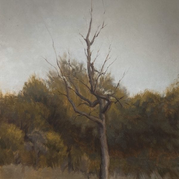Thanh Tam Cao, ‘Dead tree’ 2024, oil on canvas