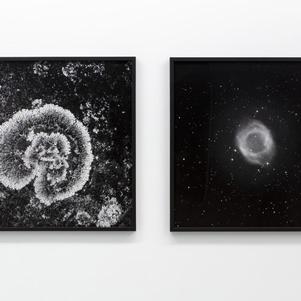 Haines & Hinterding, 'Lichen and Stars 4 (Kings Tableland / M8 Lagoon Nebula)', 2021, Pigment print on Ilford Gold Fibre Pearl / Lichen and Stars 4 (Kings Tableland / M8 Lagoon Nebula),Photo: Ashley  Barber       