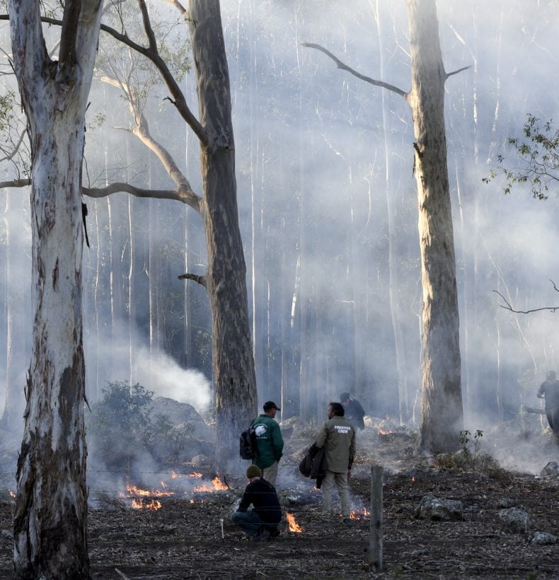 people managing a cultural burning
