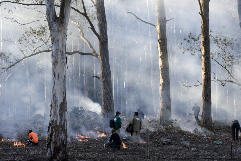 people managing a cultural burning