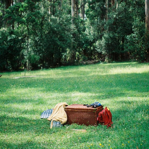 Behind the Scenes of 'Even the Dinosaurs Were Young'. Basket. Photo: Renee Kypriotis