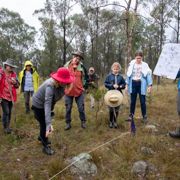 Kandos School of Cultural Adaptation, 'Arty LFA (Landscape Function Analysis)', Land Studio Camp 2021