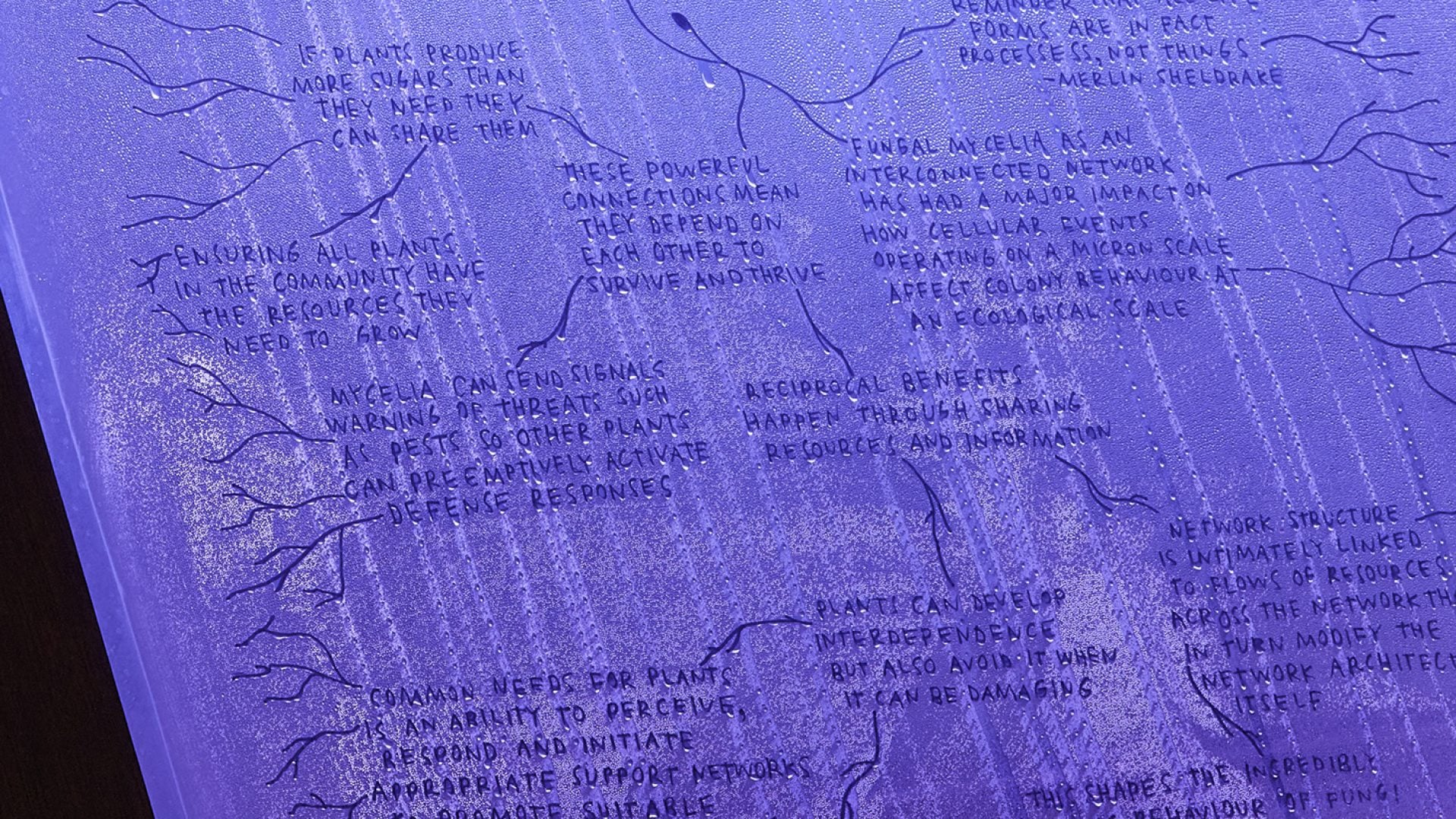 Wet, purple display of text