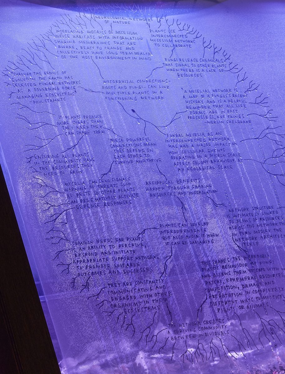 Wet, purple display of text
