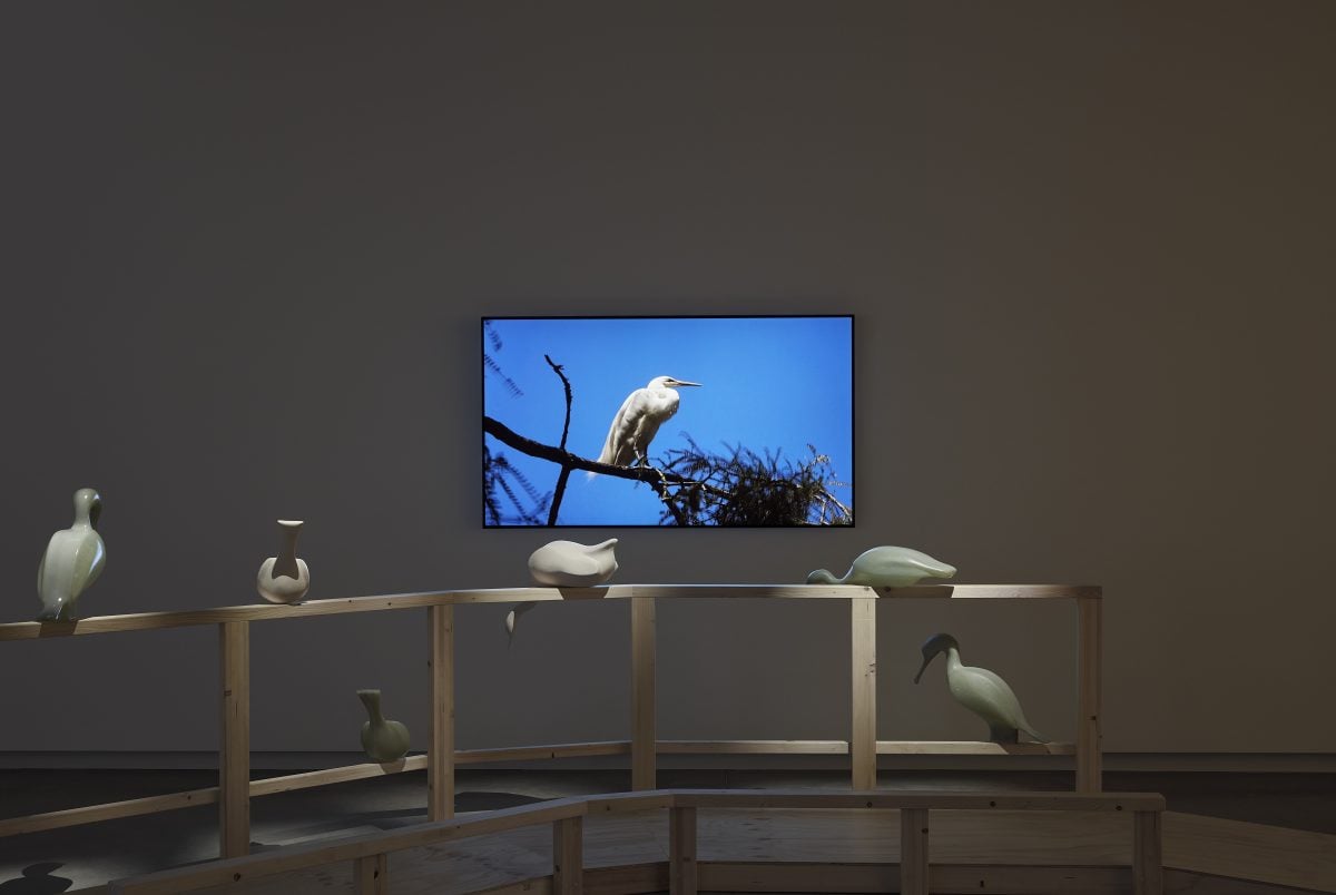 Bird on a branch, on a screen in exhibition
