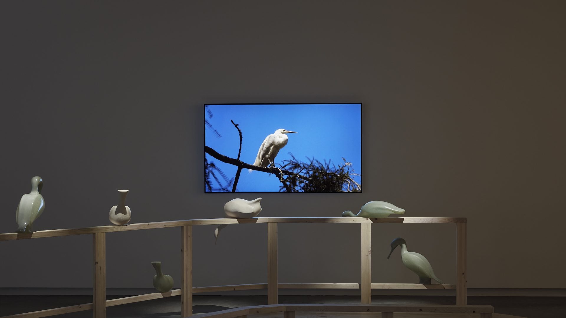 Bird on a branch, on a screen in exhibition