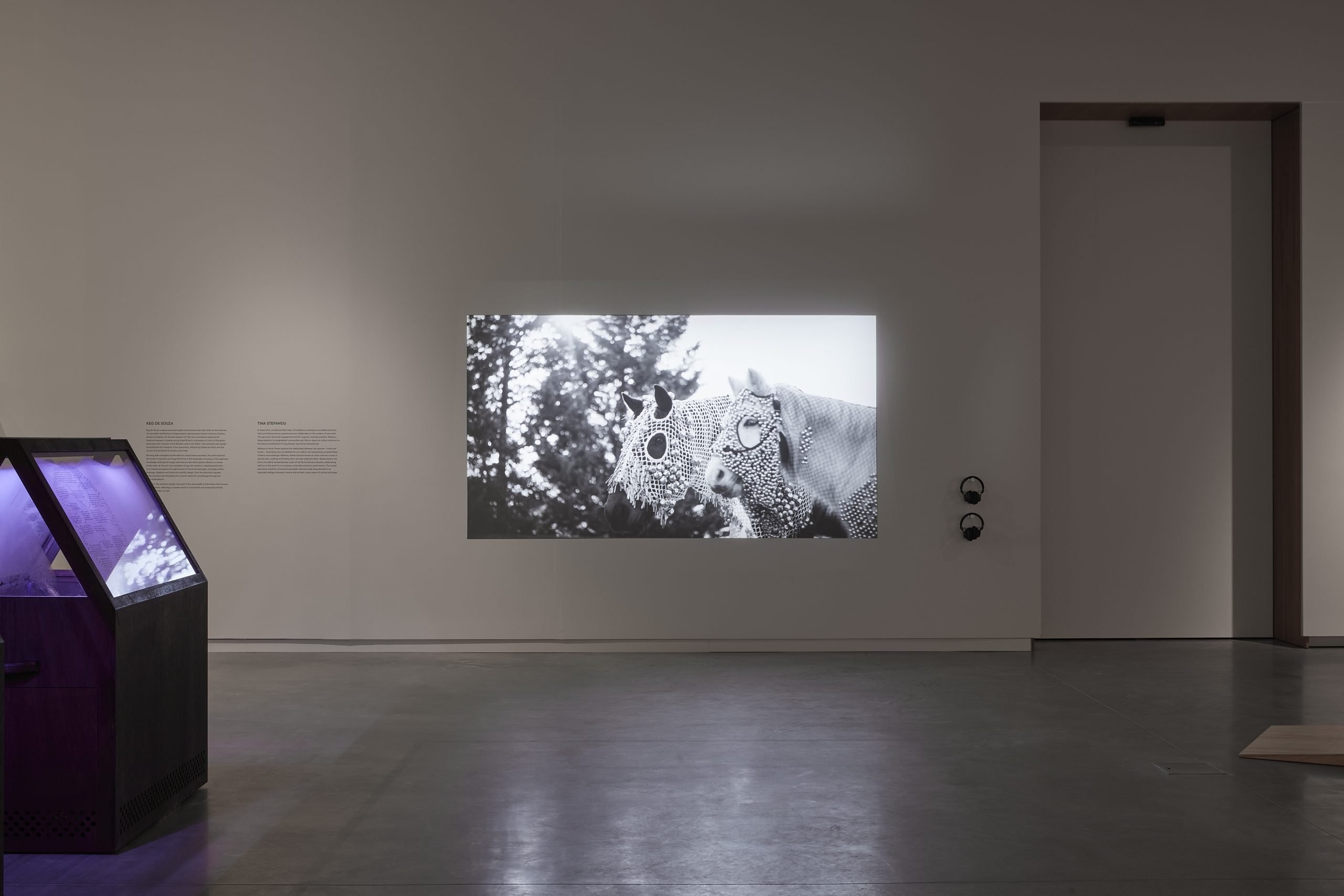 Tina Stefanou, Horse Power, 2019, single channel HD video, two-channel sound , 8:10min. Courtesy of the artist. Photo by Zan Wimberley. 