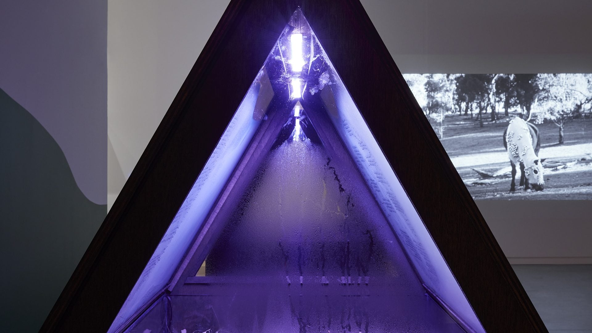 Triangular, glass, purple artwork
