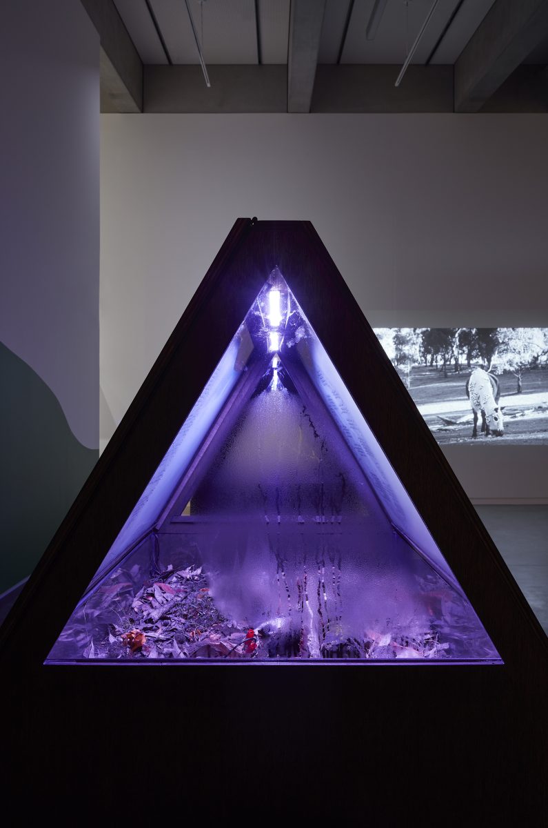 Triangular, glass, purple artwork