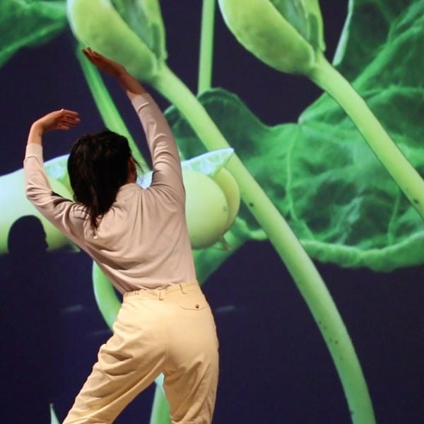Nutational Follies, 2017. 4K projection, plant choreography, dance, music. Featuring dancer Eugene Choi. Photo credit: Zak Arnot.