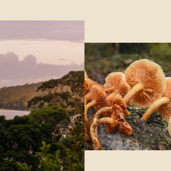 <b>Make Good Festival</b><br> Ideas for Better Living