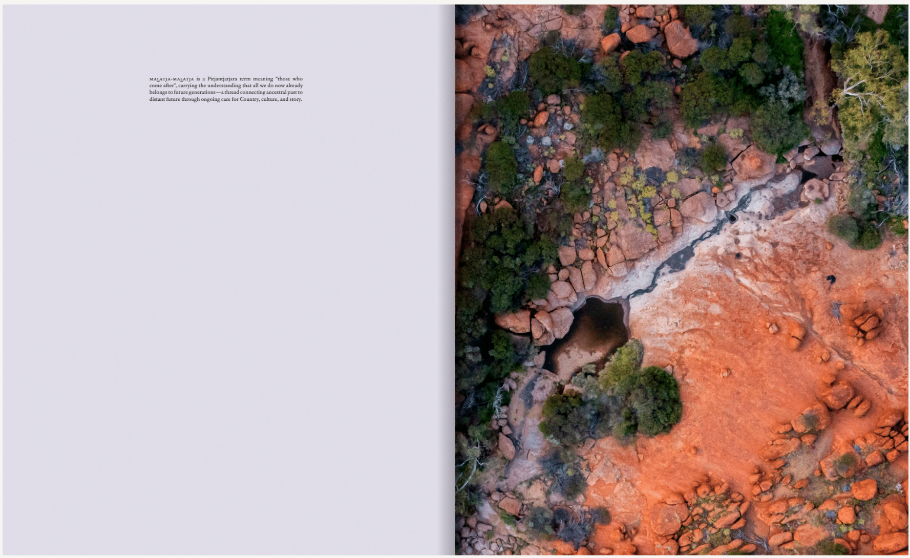 Betty Kuntiwa Pumani: maḻatja-maḻatja (those who come after) Exhibition Publication - Image 3