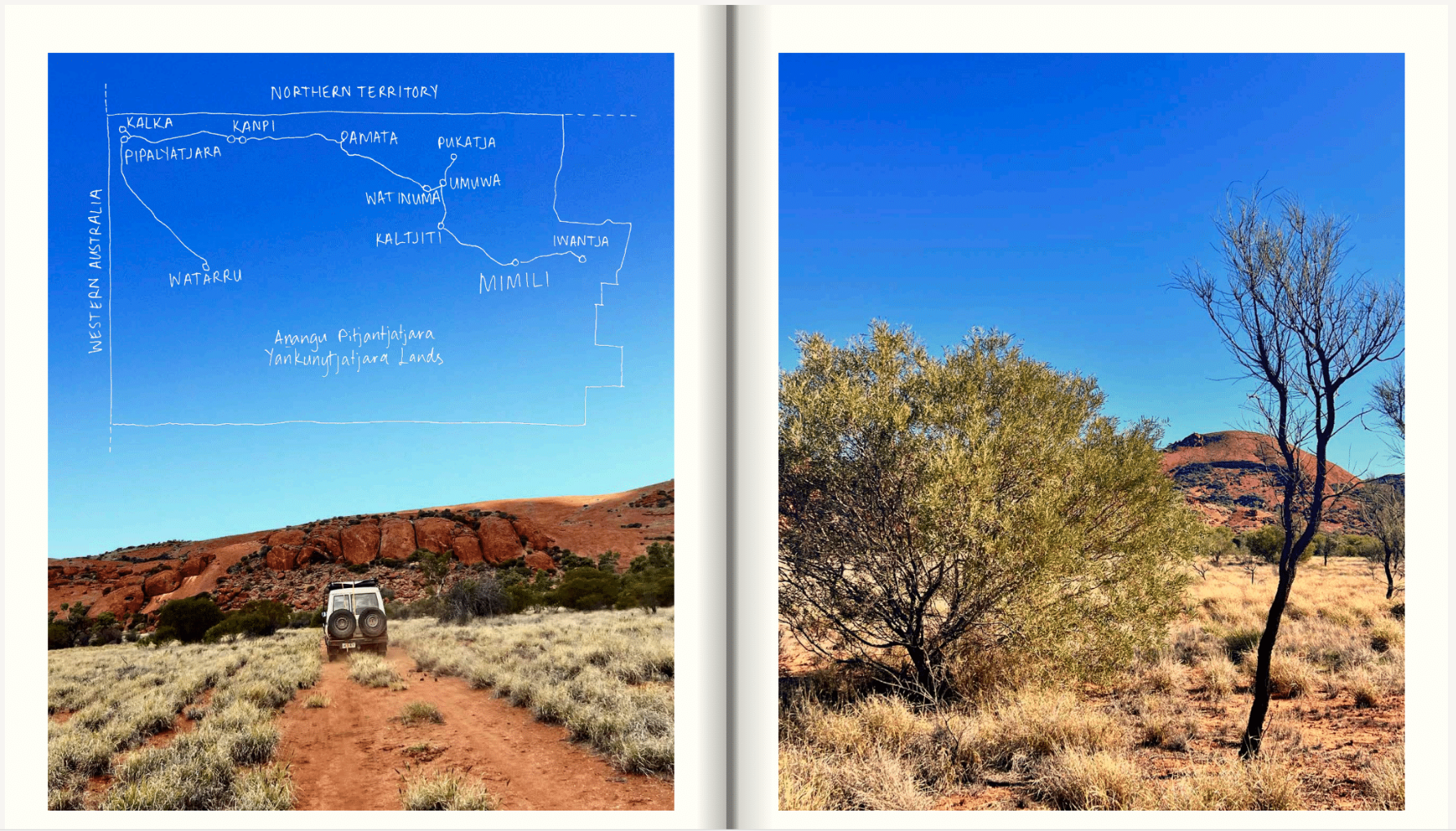 Betty Kuntiwa Pumani: maḻatja-maḻatja (those who come after) Exhibition Publication - Image 4